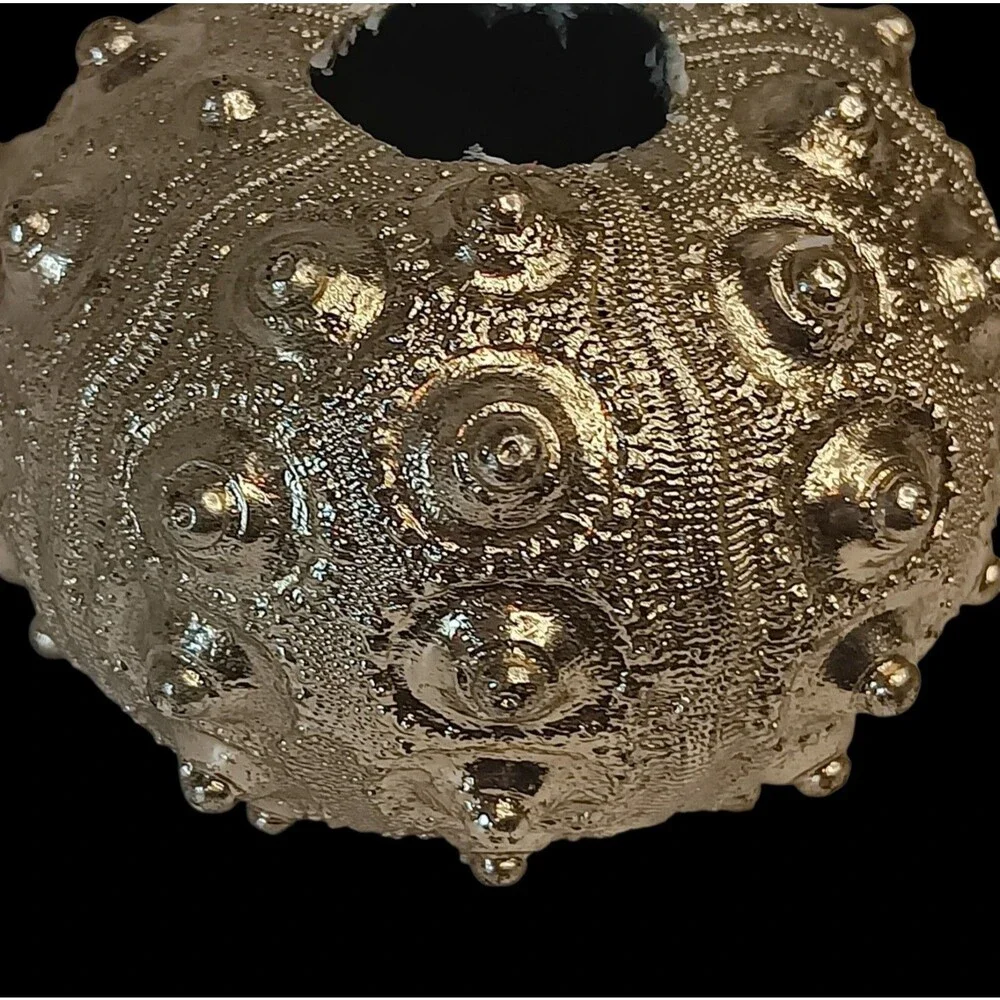 Set of 3 Sputnik Real Sea Urchin Candle Holders Painted Metallic Gold 2.5 x 1.75
